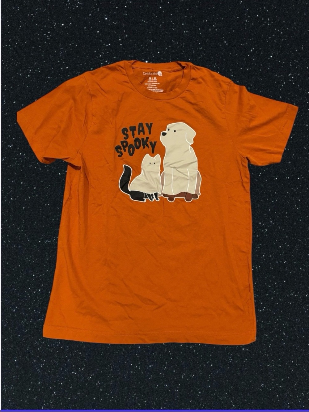 Halloween Pet Lovers Tee with Ghost Cat & Dog 'Stay Spooky' Graphic, Size Medium
